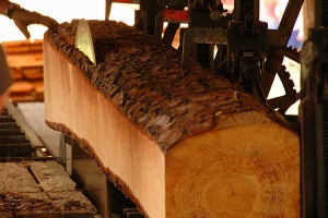 Lumber Mill and Millwork Services